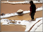 foto Saline di Maras